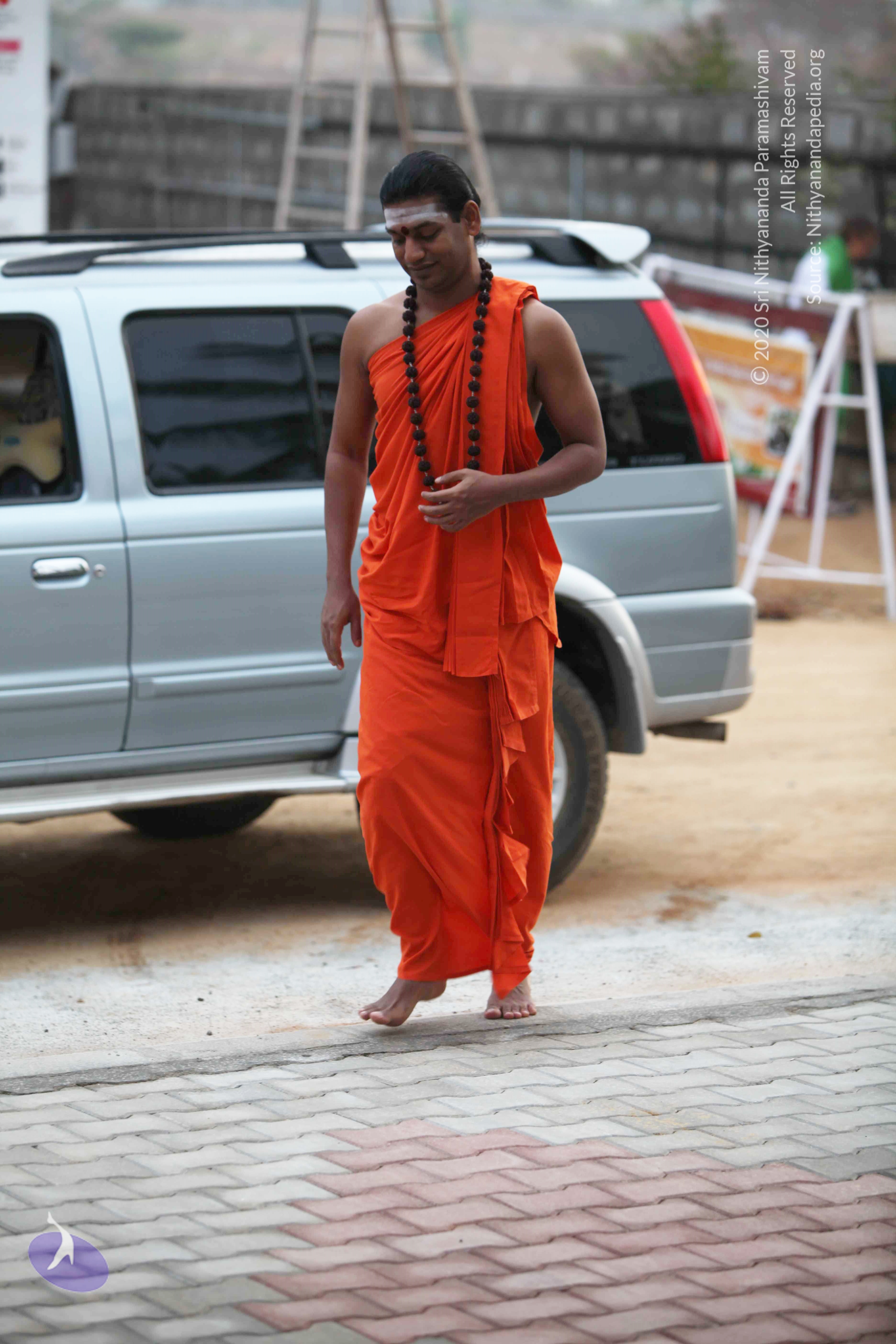 20110225_Photo_1092___CMP_WM